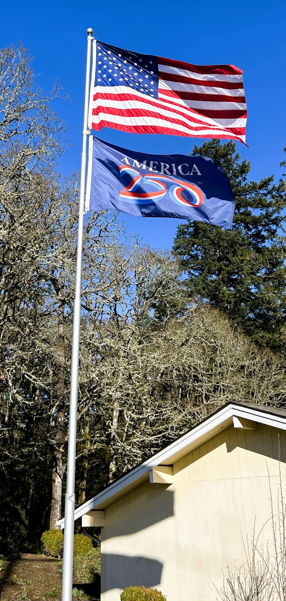 America 250 Anniversary Flag - Nylon